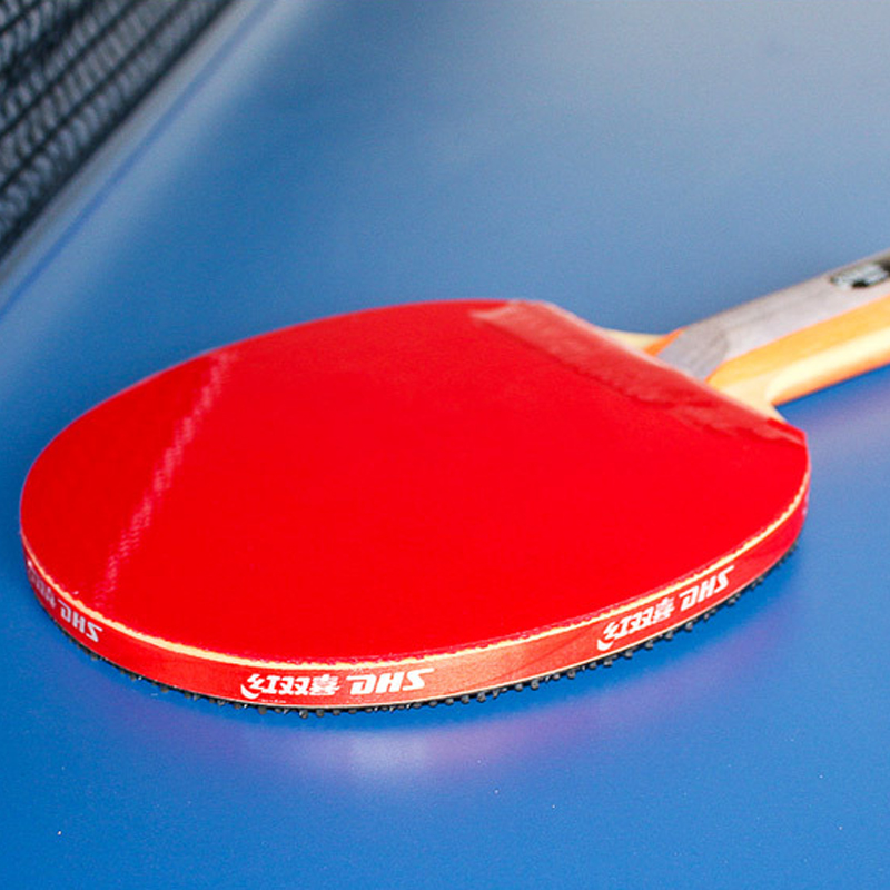 DHS Raket Tenis Meja Berpereka - Table Tennis Loki ulasan dan harga