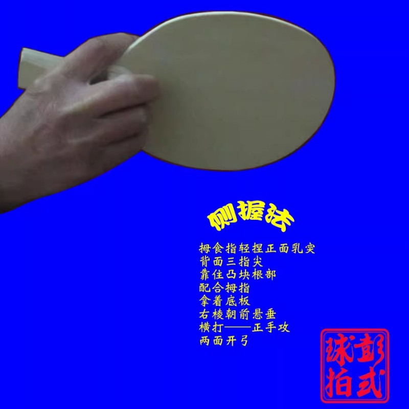 Raket Tenis Meja Gaya Cina/Jep - Table Tennis In Japanese ulasan dan harga